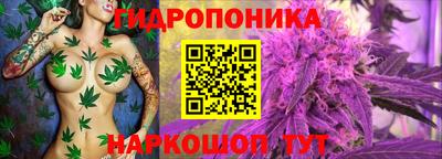 apvp Мариинск