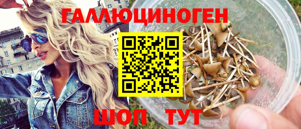 Псилоцибиновые грибы GOLDEN TEACHER Вязники