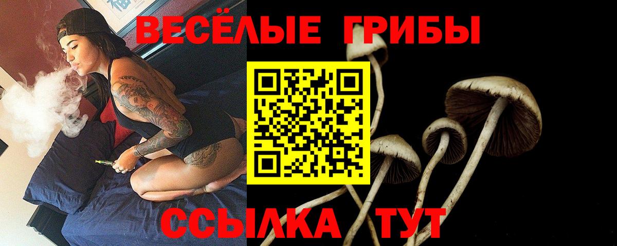 Псилоцибиновые грибы Magic Shrooms  Вход с VPN  где можно купить наркотик  Галлюциногенные грибы мухоморы  Вязники 